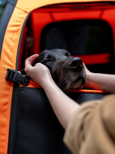 TrendPet DogBus M inklu. Stroller Kit Bundle – Bild 9